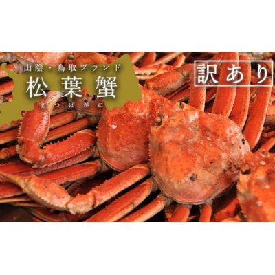 訳あり足折れ松葉ガニ　1.5kg