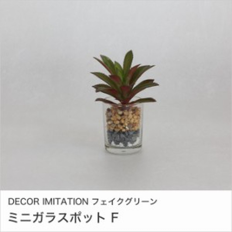 Decor Imitation フェイクグリーン ミニガラスポット F 人工観葉植物 ガラスポット インテリアグリーン 樹脂製 通販 Lineポイント最大1 0 Get Lineショッピング