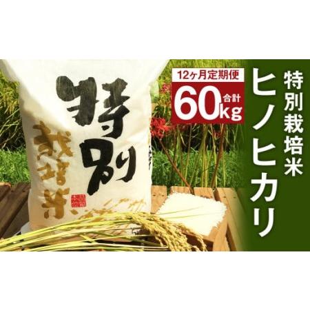 ふるさと納税  特別栽培米 ヒノヒカリ 5kg 熊本県人吉市