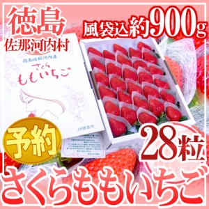 徳島県佐那河内産 ”さくらももいちご” 28粒 化粧箱 送料無料