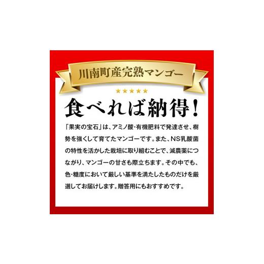 ふるさと納税 宮崎県 川南町 宮崎県産完熟マンゴー「果実の宝石」プレミアム ２Ｌ×２玉【先行予約 数量限定 宮崎県産 九州産 川南町産 糖度1…