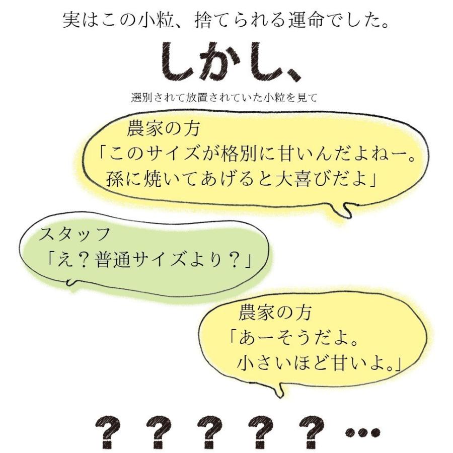 お歳暮 ギフト プレゼント サツマイモ 冷凍焼き芋 安納芋 送料込み 小粒ごと芋 きらりちゃん 6袋セット 180g×6袋