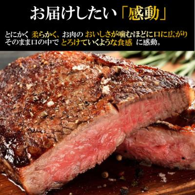 ふるさと納税 宮崎市 宮崎牛モモステーキ800g