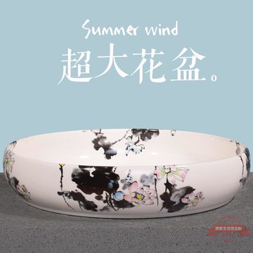 陶瓷特大水仙花盆吸水石花盆無孔水培銅錢草碗蓮塔竹陽臺多肉花盆