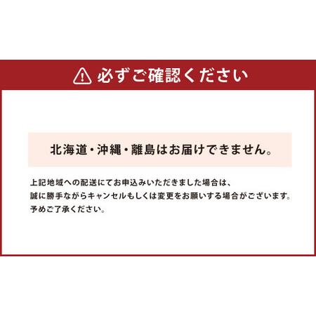 ふるさと納税 天草産 活車海老 300g 熊本県上天草市