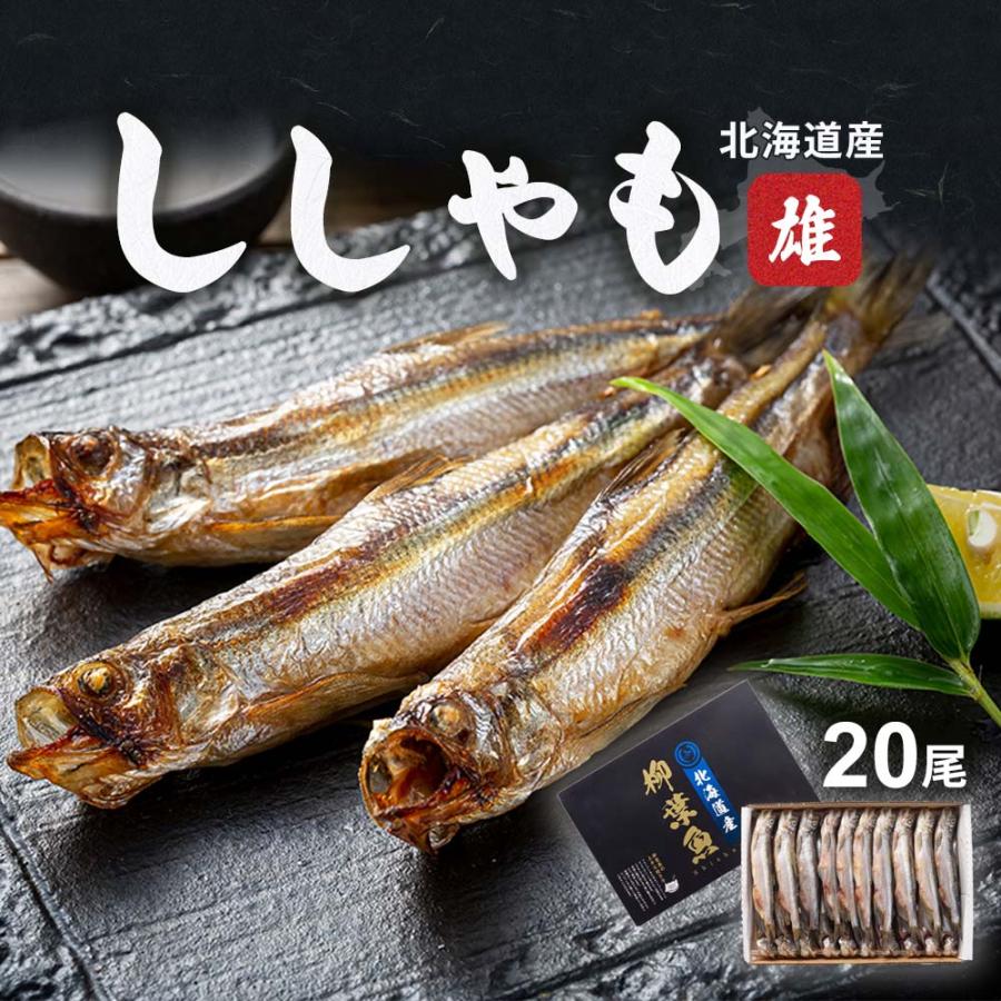 北海道産　本シシャモ　オス　20尾入り(雄　特大サイズ)潮風と天日で干した北海道産 魚ししゃも。干物柳葉魚、干し魚お取り寄せ(ギフト)