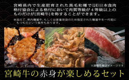 宮崎牛 赤身 セット 合計700g ステーキ 200g 焼肉 150g スライス 200g サイコロ 150g 牛肉 モモ もも すき焼き しゃぶしゃぶ 牛肉 BBQ 真空 冷凍 牛肉 内閣総理大臣賞受賞 牛肉 宮崎県産 送料無料 詰め合わせ 牛肉