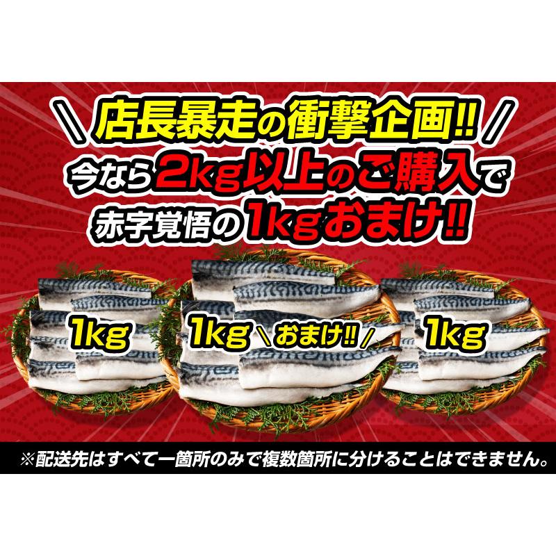  さば 無添加 無塩 トロさば サバ 鯖 約1kg(6〜8尾）トロ鯖 海鮮 天然 魚 魚介 海産物 おかず おつまみ 冬グルメ 冬ギフト