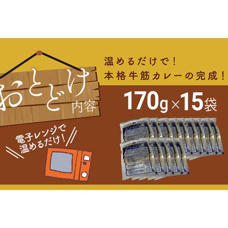 ふるさと納税 博多和牛１００％使用！！あまおうがほのかに香る牛すじゴロっとカレー（１７０ｇ×１５袋） あまおう 博多和牛.. 福岡県田川市