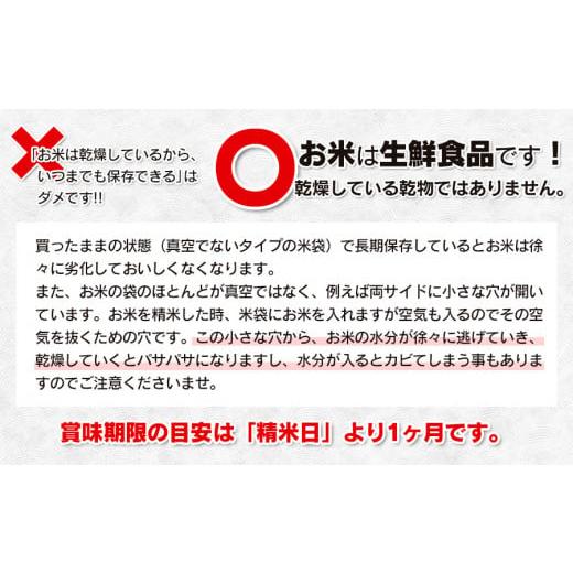 ふるさと納税 山形県 鶴岡市 新米 山形県庄内産 特別栽培米 つや姫10kg（5kg×2）