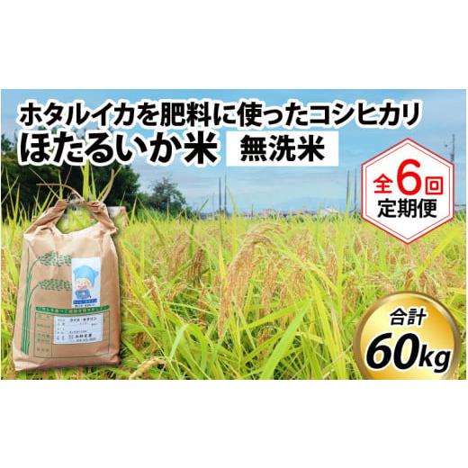 ふるさと納税 富山県 滑川市 ほたるいか米（無洗米10kg）×6回 計60kg