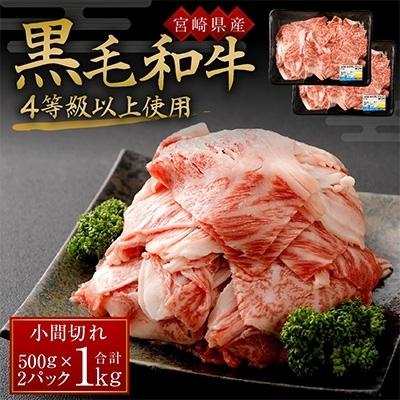 ふるさと納税 えびの市 　黒毛和牛4等級以上使用　小間切れ500g×2P