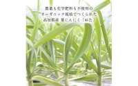 緊急支援 人気海鮮 芸西村厳選1本釣り本わら焼き「芸西村本気の極カツオのたたき（6～7人前）有名番組で紹介の有機無添加土佐にんにくぬた・タレ付き」高知県共通返礼品 かつお タタキ 海鮮 藁焼き 鰹 塩 ランキング