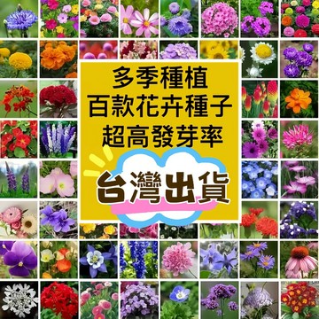 熱銷-24H發貨【百款多季花卉種子】 混合鮮花種子 薰衣草 波斯菊 茉莉花 梔子花  花種子 四季播種 陽台庭院盆栽種子