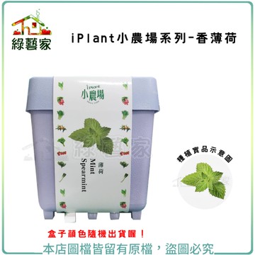 【綠藝家】iPlant小農場系列-香薄荷 (綠薄荷 野薄荷 青薄荷)提神 可作調味料用