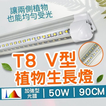 【君沛】V型雙排 50W 高功率 3呎 T8一體式植物燈 加強型光譜 抑制徒長 龍舌蘭 塊根 多肉控型 層架補光 免燈座