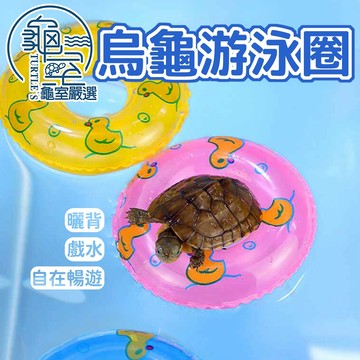 PJ小舖 烏龜游泳圈 迷你游泳圈 烏龜泳圈 烏龜漂浮 烏龜玩水 裝飾造景 洗澡泳圈 戲水擺件 烏龜圈 烏龜 澤龜