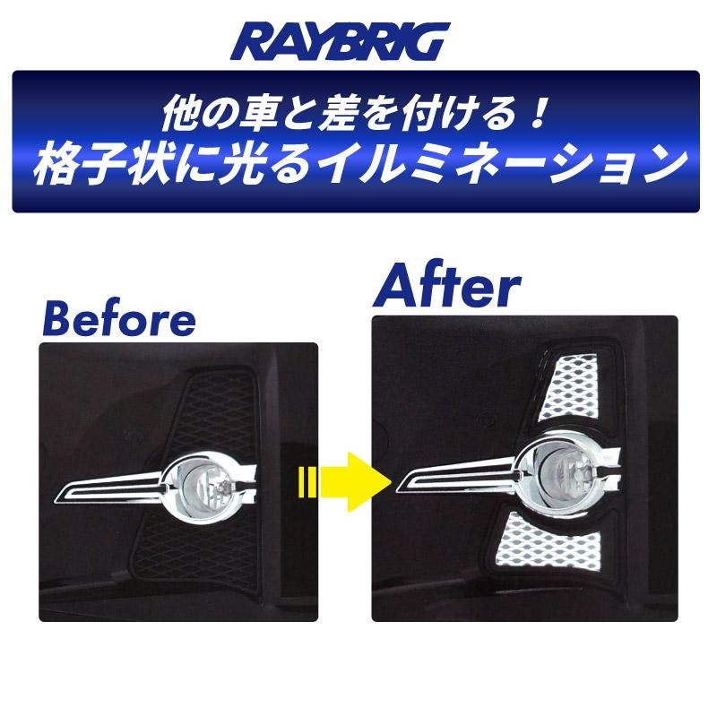 RAYBRIG 30系前期 アルファード フォグランプ ガーニッシュ