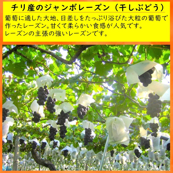 チリ産 ジャンボレーズン たっぷりサイズ 800g 砂糖不使用 大粒レーズン ネコポス便発送