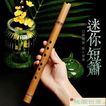 免運 長笛 豎笛 笛子 零基礎入門洞簫便攜苦竹高級短蕭笛初學迷你古風六F調民族瀟樂器