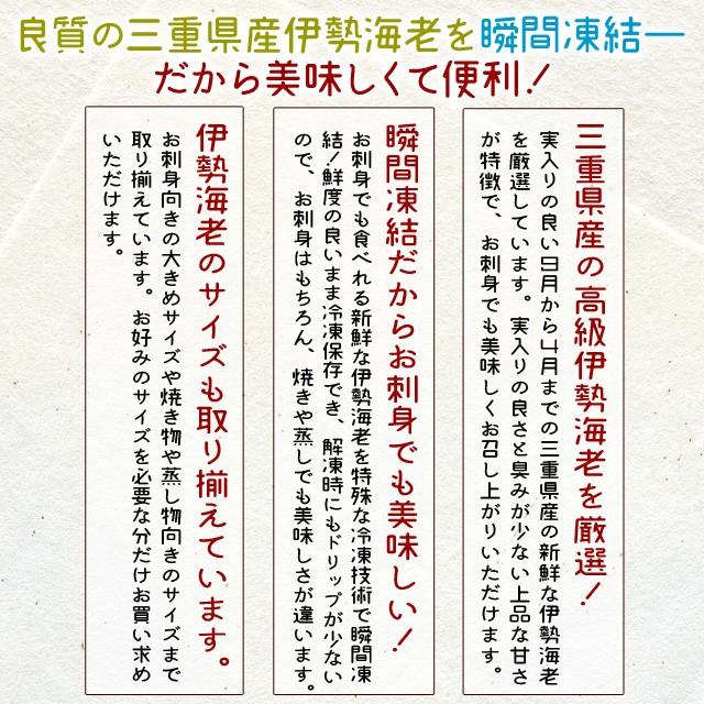 三重県産 伊勢海老詰合せ １尾〜５尾で約１ｋｇ 送料無料 刺身用瞬間冷凍 伊勢エビ 尾数選べます