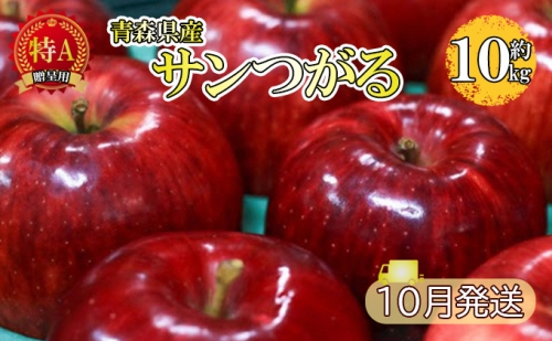 サンつがる約10kg贈答用（9月発送）青森県産