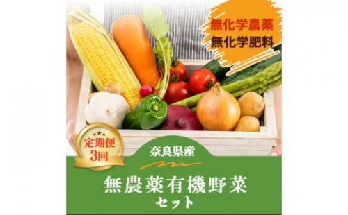 生命の農法（無化学農薬・無化学肥料栽培）季節の野菜セット