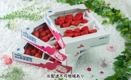 いちご あまおう 6パック 1Pあたり約250g以上 福岡のいちご 苺 本来の酸味と甘み 冬 配送不可 離島