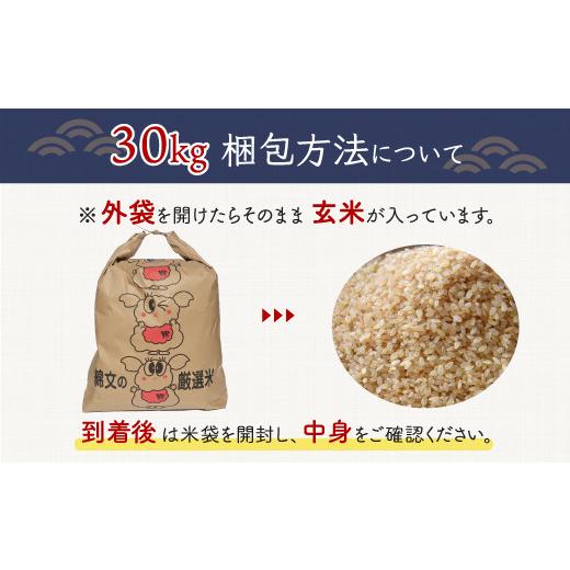 ふるさと納税 千葉県 大網白里市 令和5年産 千葉県産「ふさこがね」玄米30kg（30kg×1袋） ふるさと納税 玄米 30kg 千葉県産 大網白里市 ふさこがね …