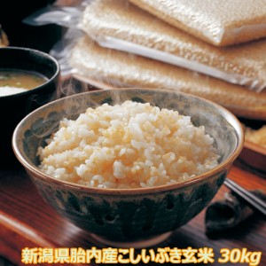 令和5年産 新米 新潟産こしいぶき 30kg 玄米 (10kg×3袋)  食味Ａランク 農薬節減（7割減） 有機肥料栽培米・残留農薬ゼロ（