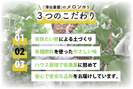 マスクメロン 青肉・赤肉 2色セット（1.5kg以上 2玉入）食べ比べお楽しみ！アールスメロン ／ あわら 期間限定 果物 フルーツ 産地直送 人気 甘い ※2023年7月上旬より順次発送