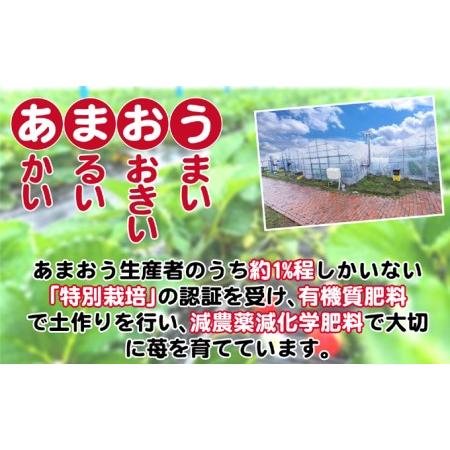 ふるさと納税 いちご 2023年12月より発送 うるう農園のあまおう スタンダード4パック 約1.14kg※配送不可：離島 福岡県朝倉市