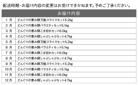 「どんぐりの恵み豚」お肉満載定期便(5ヶ月)_T60（5）-1102_(都城市) 万能スライスセット バラエティセット こま切れセット しゃぶしゃぶセットなど 冷凍 豚肉の定期便 とんかつ スライス しゃぶしゃぶなど