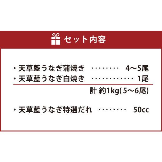 ふるさと納税 熊本県 宇城市 海水育ちの天草藍うなぎ 紅白 5〜6尾セット（計約1kg）鰻 蒲焼き 白焼き