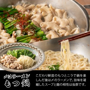 九州産豚ホルモン もつ鍋 締めのラーメン付き セット (もつ鍋スープ800g、豚大腸500g、麺120g、ニラ100g) 国産 大分県産 豚 ホルモン 鍋 ニラ 小分け 冷凍 味付け 大分県 佐伯市 