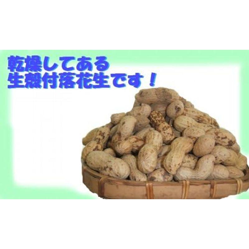 未調理なまから付落花生(ナカテユタカ)500g×3個セット 千葉県産八街落花生