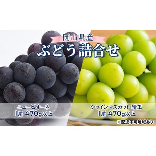 ふるさと納税 岡山県 岡山市 ぶどう 2024年 先行予約 ニュー ピオーネ 1房（1房470g以上） シャイン マスカット 『晴王』1房（1房470g以上）詰合せ（2房） ブ…