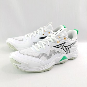 Mizuno V1GA251221 Wave Momentum ELITE 男排球鞋 白x冰翡翠【iSport愛運動】