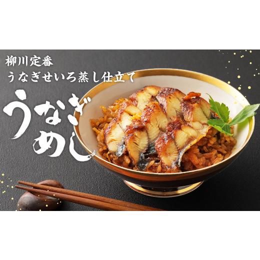 ふるさと納税 福岡県 柳川市 うなぎ尽くし 蒲焼きとうなぎめしセット