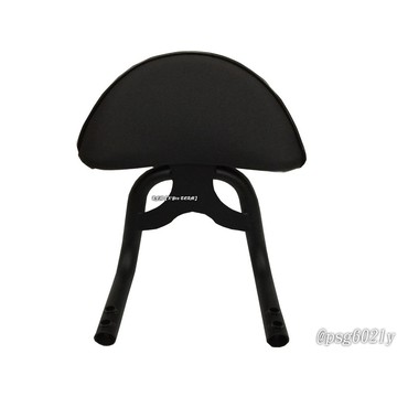【LFM】 GOGORO2 超帥造型後靠背 後背靠 體貼後座 適用:GOGORO2 GOGORO二代 GOGOROS2