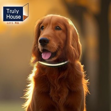 Truly House 可調節發光寵物項圈 三段燈源 電池款 光源穩定 清晰 警示