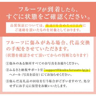 ふるさと納税 フルーツ王国山梨が誇る白桃『豊熟ブランド』2024年発送（PMK）B18-101 山梨県甲州市