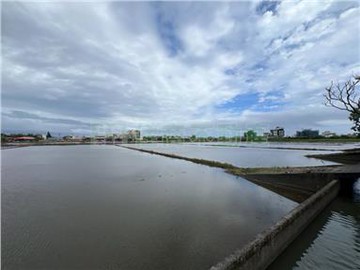 晨光§宜蘭傳藝園區旁美農地｜宜蘭縣五結鄉新錦草段