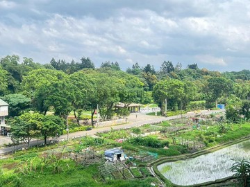 安家帝景三房 面公園看樹海享芬多精~必須買一起發｜新北市淡水區沙崙路