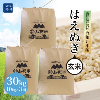 令和5年産 山形県戸沢村 はえぬき  30kg定期便 (10kg×3回)