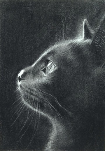 炭精筆素描 / 寵物畫 / 含框