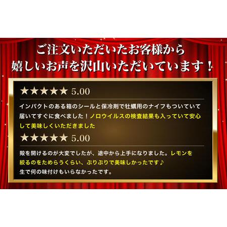 ふるさと納税 北海道厚岸産 牡蠣 Lサイズ 1ダース（12個入り） 生食用 北海道厚岸町