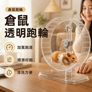 高雄出貨🔥倉鼠靜音跑輪 靜音無聲帶支架透明PET跑步輪 ｜透明PET水晶跑步輪｜帶支架高度可調｜金絲熊侏儒鼠小寵玩具