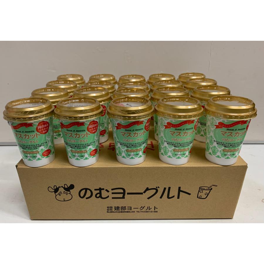 のむヨーグルトマスカット（20本入）