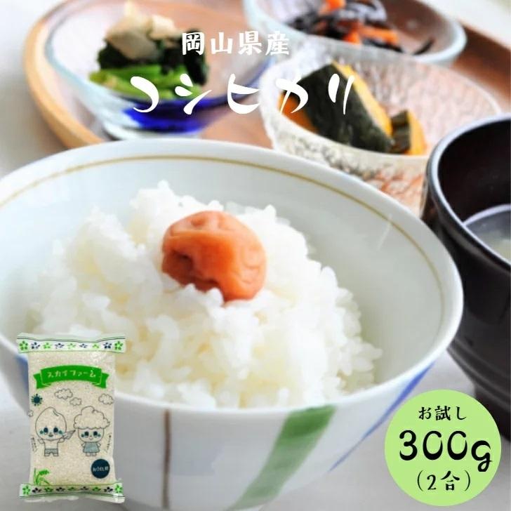 新米 令和5年産 岡山県産 コシヒカリ 300g (2合) 1袋 ポイント消化 白米 食品 お試し 1kg以下 メール便  国産 送料無料